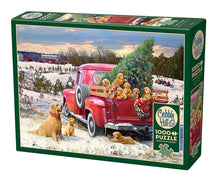 Load image into Gallery viewer, Family Outing 1,000 pc Puzzle
