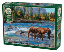 Load image into Gallery viewer, On the Rocks Puzzle 1,000 pc