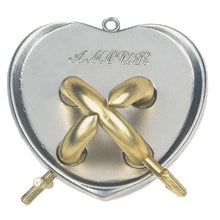 Load image into Gallery viewer, Hanayama Puzzles