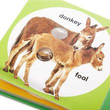 Load image into Gallery viewer, Poke-A-Dot Farm Animal Families Book