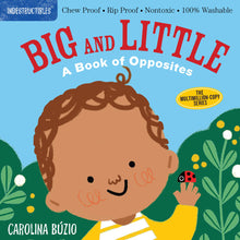 Load image into Gallery viewer, Indestructibles: Big and Little