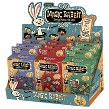 Load image into Gallery viewer, Assorted Magic Tricks