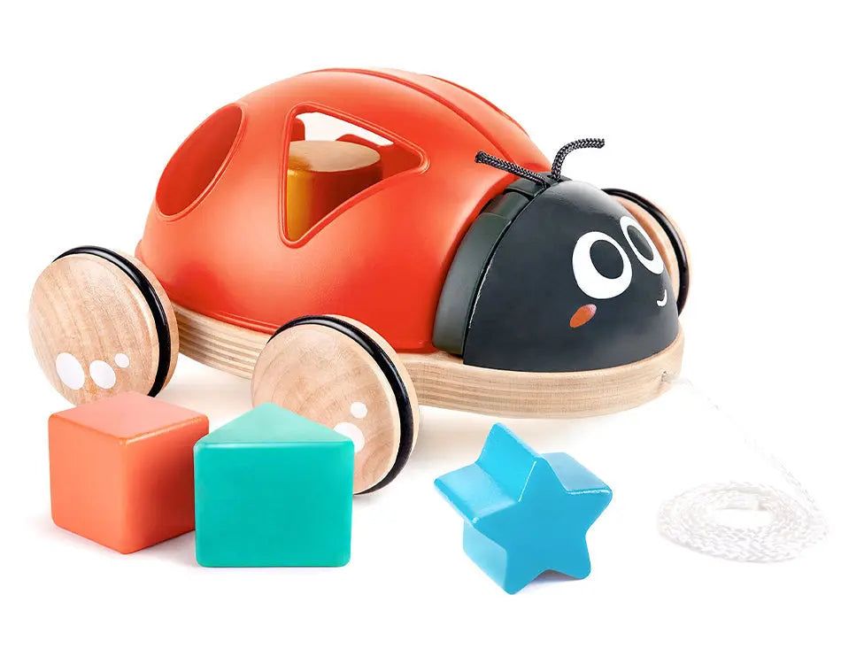 Shape Sorter Ladybug