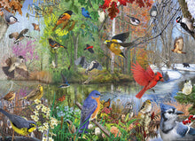 Load image into Gallery viewer, Birds of the Season 1,000 pc Puzzle