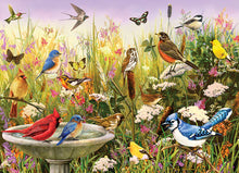 Load image into Gallery viewer, Feathered Friends 1,000 pc Puzzle