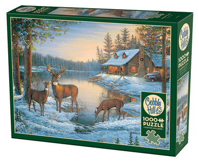 A Quiet Place 1,000 pc Puzzle
