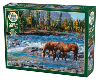 On the Rocks Puzzle 1,000 pc