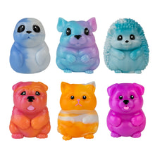 Load image into Gallery viewer, Curiosities Taba-licious Pet Assortment