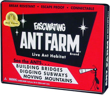 Load image into Gallery viewer, Uncle Milton Retro Ant Farm