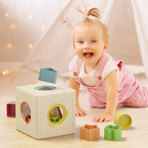 KUBO SHAPE SORTER PLAY BIO