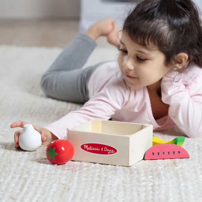 Wooden Food Groups Play Set Produce – Santa's TOYS