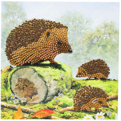 Happy Hedgehogs Crystal Art Card Kit