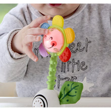 Load image into Gallery viewer, Shake n&#39; Sparkle Flower Rattle