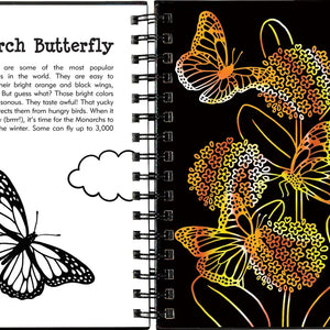 Scratch and Sketch Butterflies and Friends