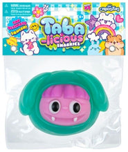 Load image into Gallery viewer, Curiosities Taba-licious Snarkies