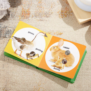 Poke-A-Dot Farm Animal Families Book