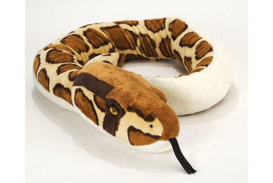 Snake Burmese Python