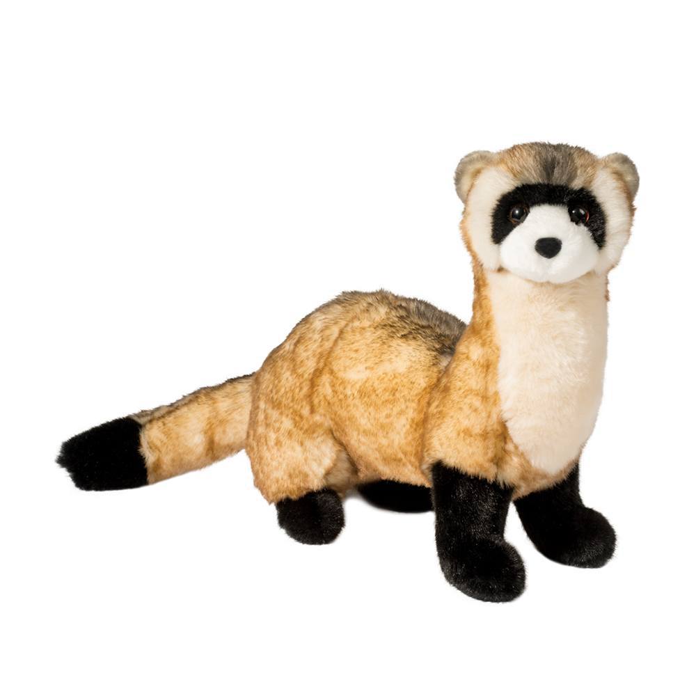 Vince Black Foot Ferret